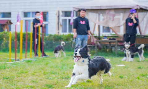 1652351053913081.jpg 1.jpg