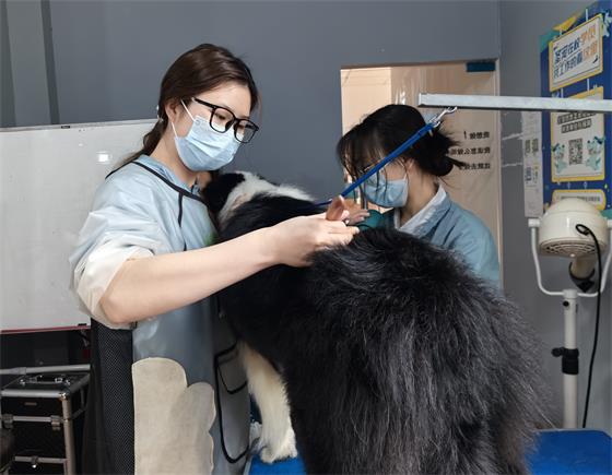 acbddd21424926d335b3134230fa2cb5_origin(1)_看图王.jpg
