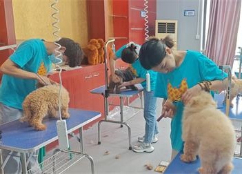 2a5e19d1404341db799aaf1f0b8b0343_compress_看图王.jpg