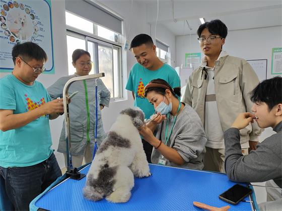 1761555862825599.jpg IMG_20251024_152633(1).jpg