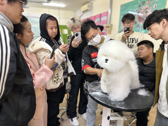 1764064405337560.jpg 70112c60-bdb6-4e9b-a1ef-8d651099ee31(1).jpg