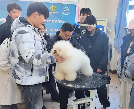 1765444871510493.jpg a5bcd04c452981093ef16b08f8b58b57_origin(1)_看图王.jpg