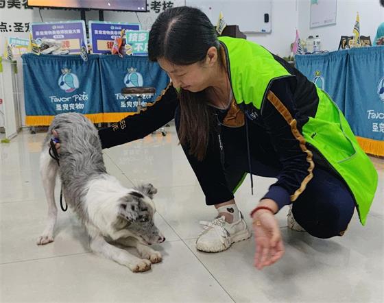 1766569486560310.jpg 99438936a52e8b52bdfcac9c8bc0ca63_origin(1)_看图王.jpg