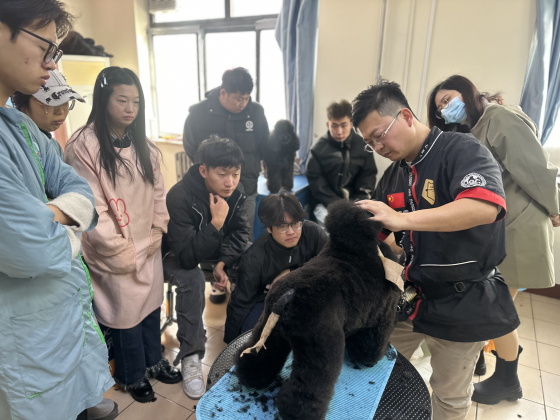 1767948213620280.jpg 4f253c68-4c05-4380-a5b9-3e52854142d7(1).jpg